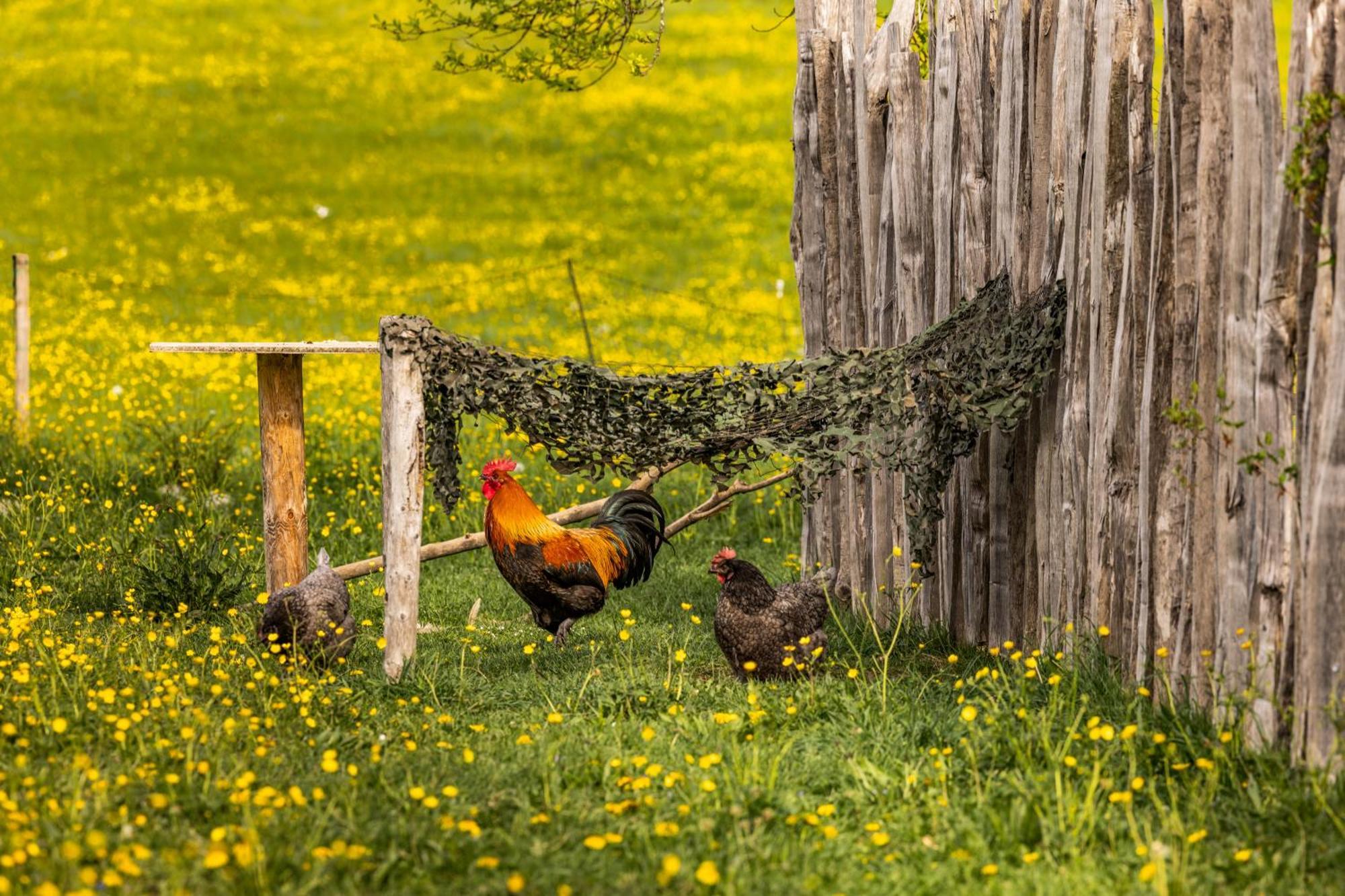 Ferienwohnungen Am Gablerhof Bad Reichenhall Kültér fotó
