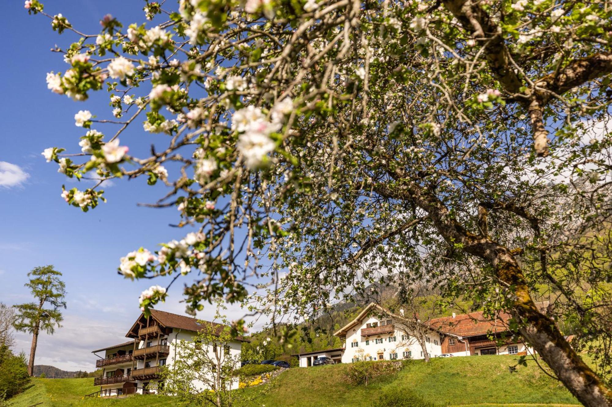 Ferienwohnungen Am Gablerhof Bad Reichenhall Kültér fotó